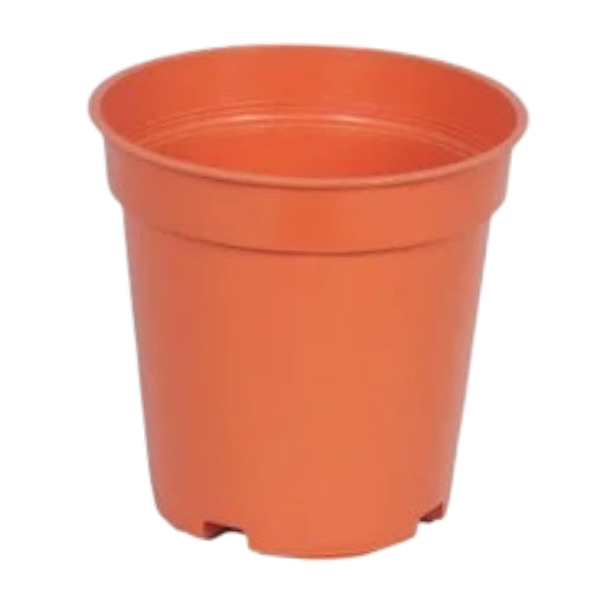 5.5" Without Collar Nursery Pot